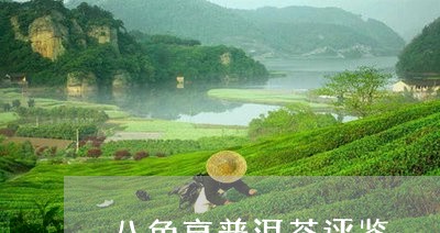 八角亭普洱茶评鉴/2023101674816