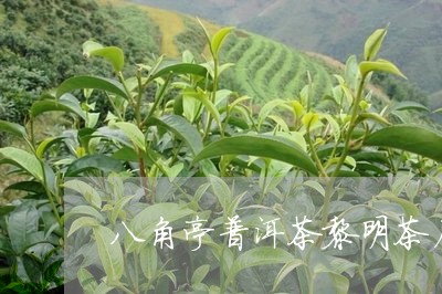 八角亭普洱茶黎明茶厂/2023072108571