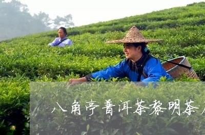 八角亭普洱茶黎明茶厂/2023092618593