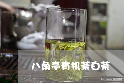 八角亭有机茶白茶/2023061325027