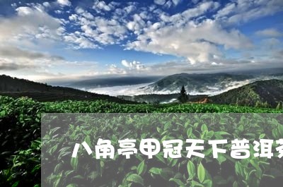 八角亭甲冠天下普洱茶/2023061551739