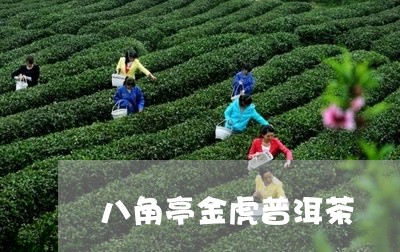 八角亭金虎普洱茶/2023120431613