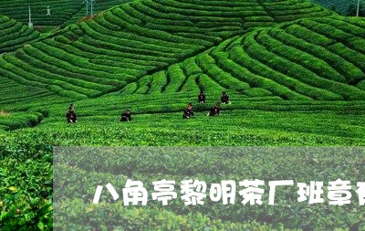 八角亭黎明茶厂班章有机茶大白菜/2023060163724