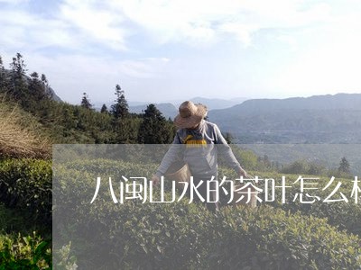 八闽山水的茶叶怎么样/2023061181826