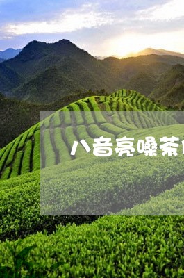 八音亮嗓茶价格/2023050125866