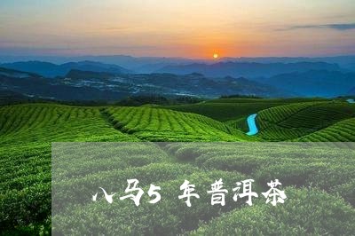 八马5年普洱茶/2023082854828