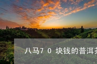 八马70块钱的普洱茶/2023092607574