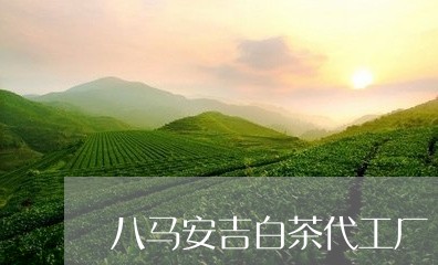 八马安吉白茶代工厂/2023081327461