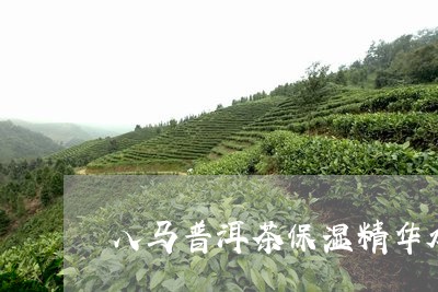 八马普洱茶保湿精华水怎么样/2023110543716