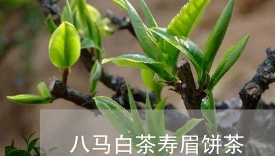 八马白茶寿眉饼茶/2023061335931