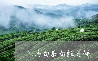 八马白茶白牡丹饼/2023111594068