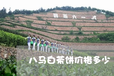 八马白茶饼价格多少/2023071572595