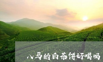 八马的白茶饼好喝吗/2023081391692