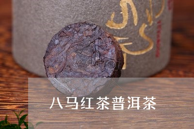 八马红茶普洱茶/2023121381826