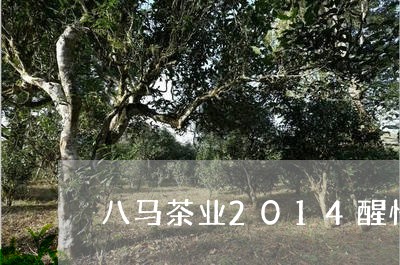 八马茶业2014醒悟普洱茶/2023121346159