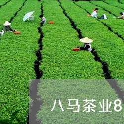 八马茶业8万元普洱茶/2023092659572