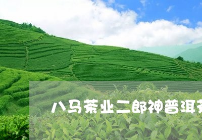 八马茶业二郎神普洱茶/2023061552605