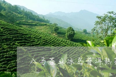 八马茶业冰岛普洱熟茶/2023092584048