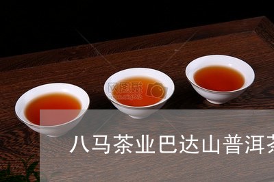 八马茶业巴达山普洱茶/2023061614068