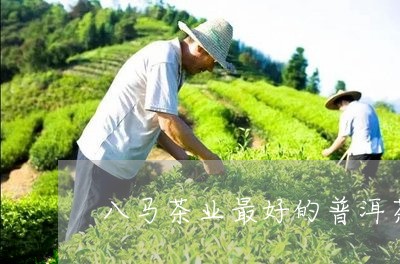 八马茶业最好的普洱茶/2023061746048