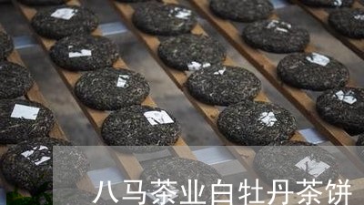 八马茶业白牡丹茶饼/2023081370582