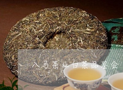 八马茶业白茶品鉴会/2023121757583