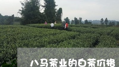 八马茶业的白茶价格/2023071541948