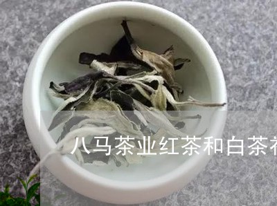 八马茶业红茶和白茶礼盒/2023111678258