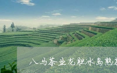 八马茶业龙胆冰岛熟茶/2023092240261