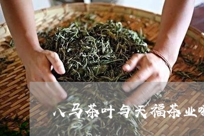 八马茶叶与天福茶业哪个好/2023051280494