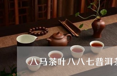 八马茶叶八八七普洱茶/2023100875168