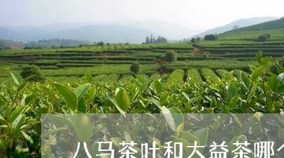 八马茶叶和大益茶哪个更高档/2023052645172