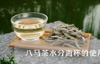 八马茶水分离杯的使用/2023071411403