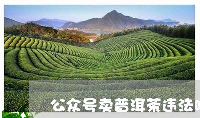 公众号卖普洱茶违法吗/2023120606038