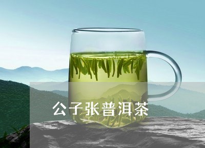 公子张普洱茶/2023110373635