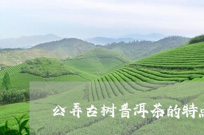 公弄古树普洱茶的特点/2023093037362