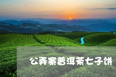 公弄寨普洱茶七子饼/2023120507479