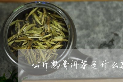 公斤熟普洱茶是什么茶/2023100763704