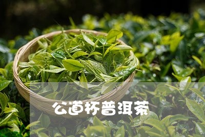 公道杯普洱茶/2023042756710