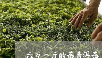 六万一斤的茶普洱茶/2023120574847