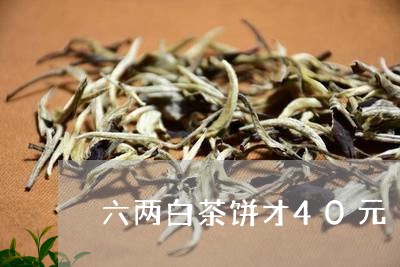 六两白茶饼才40元/2023071449593