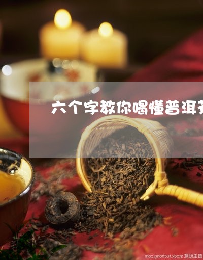 六个字教你喝懂普洱茶/2023092643836