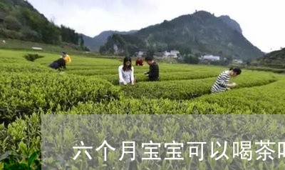 六个月宝宝可以喝茶叶水吗/2023051206270