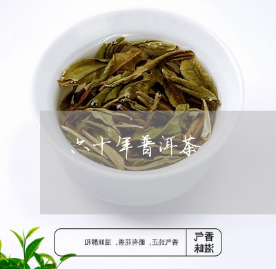 六十年普洱茶/2023042697355