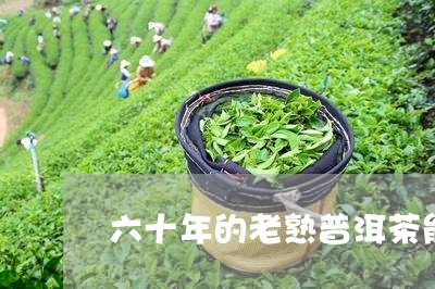 六十年的老熟普洱茶能喝吗/2023112455259