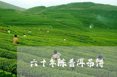 六十年陈普洱茶饼/2023120405037