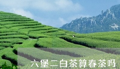 六堡二白茶算春茶吗/2023081340694