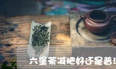 六堡茶减肥好还是普洱/2023061366081