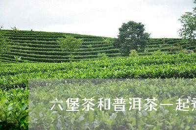 六堡茶和普洱茶一起煮/2023061959381