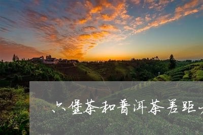 六堡茶和普洱茶差距大吗/2023082554916